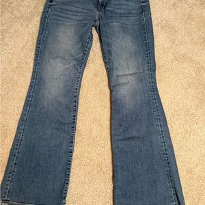 American Eagle Outfitters Classic Blue Wide Leg Jeans